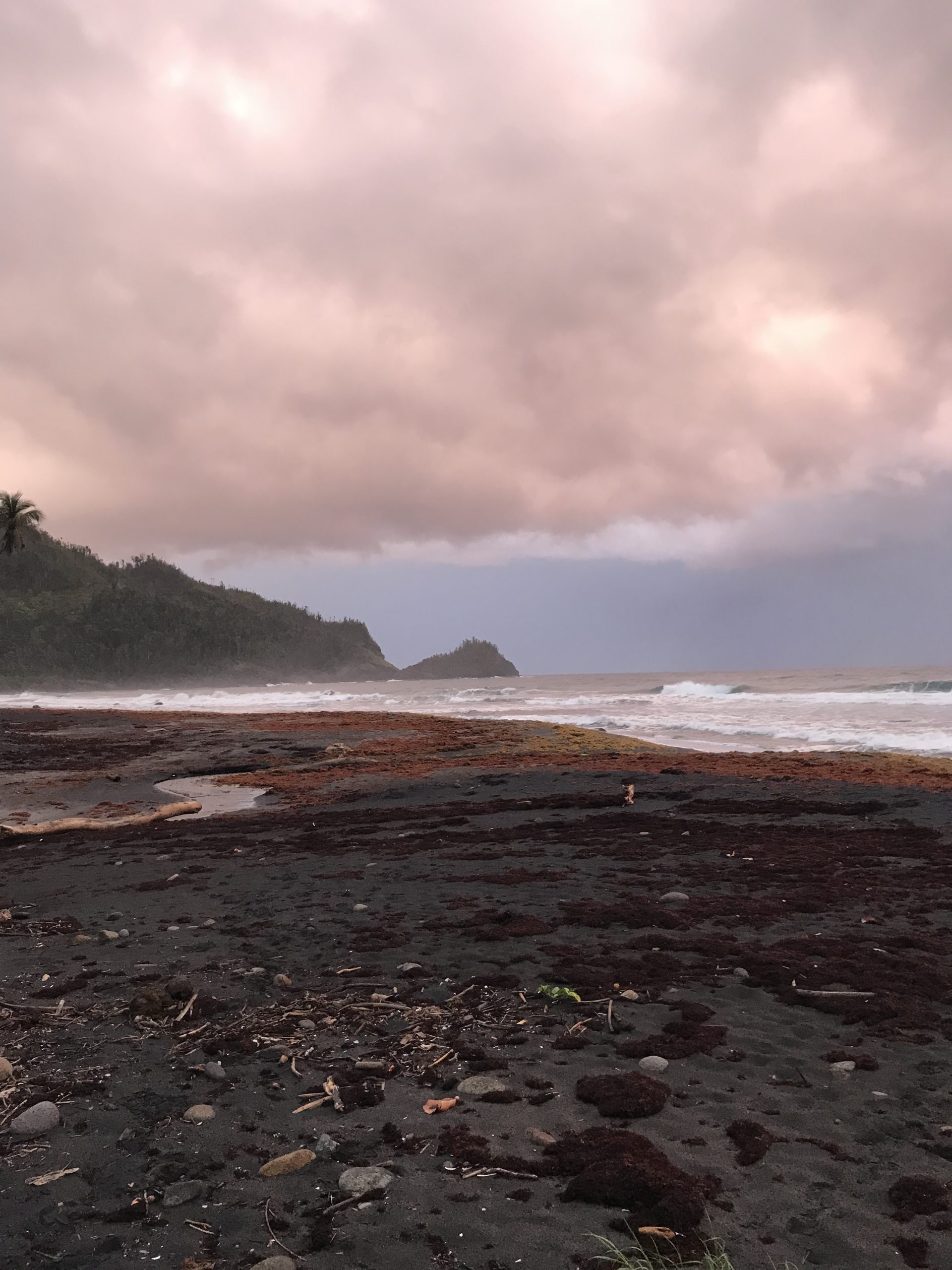 Turtle beach dominica