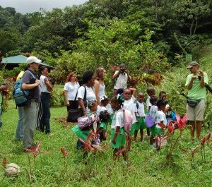 Community experience package