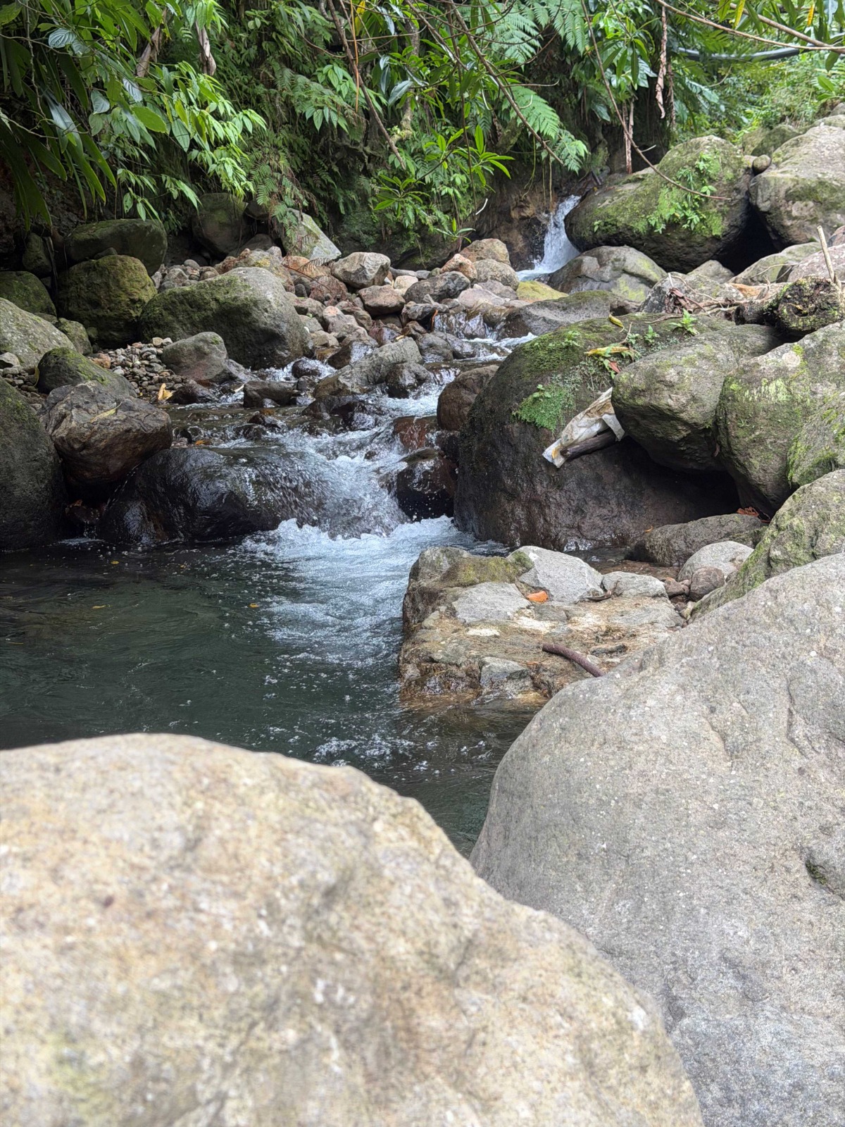 FRESHWATER HIKE river