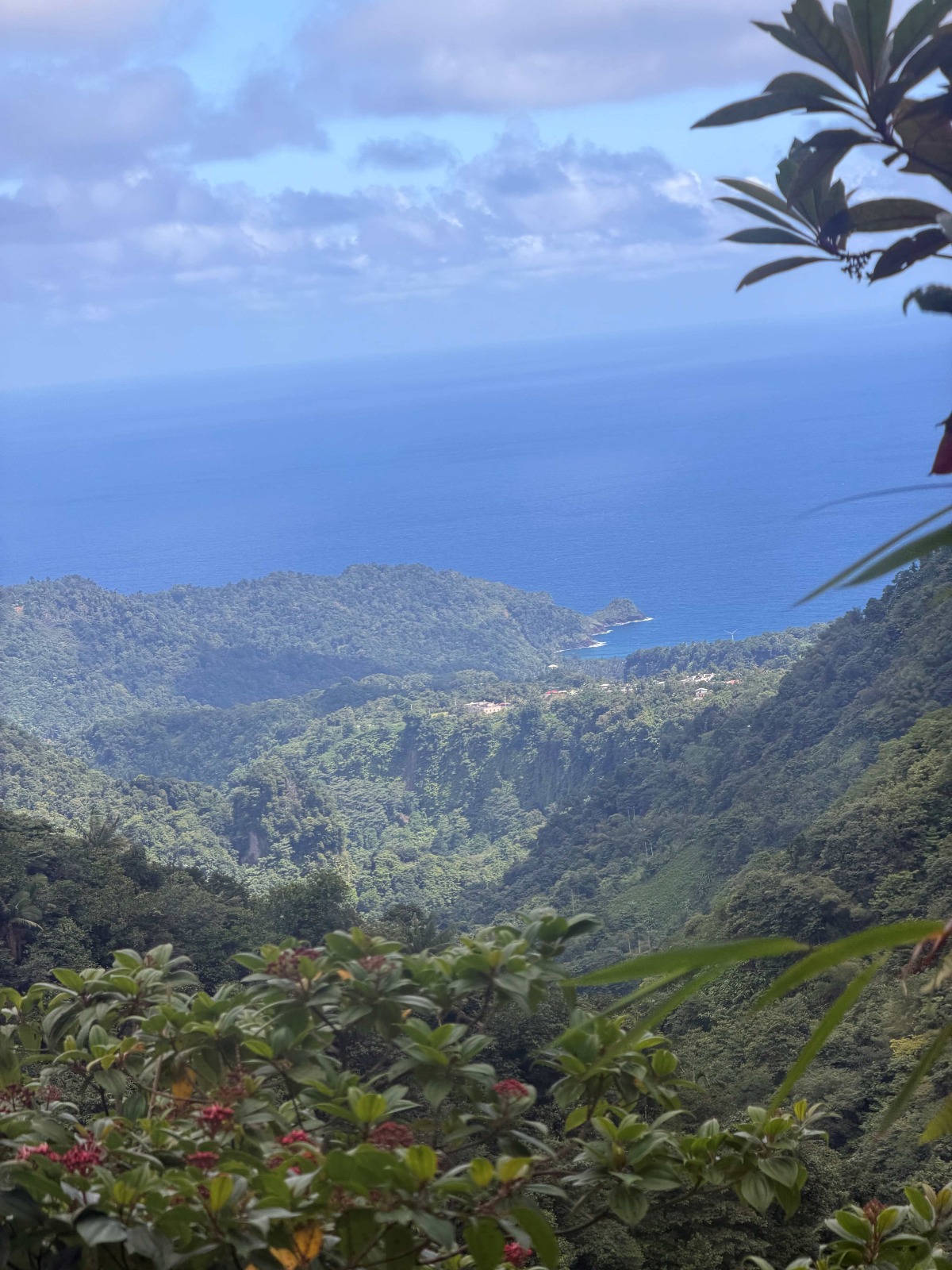 FRESHWATER HIKE viewpoint