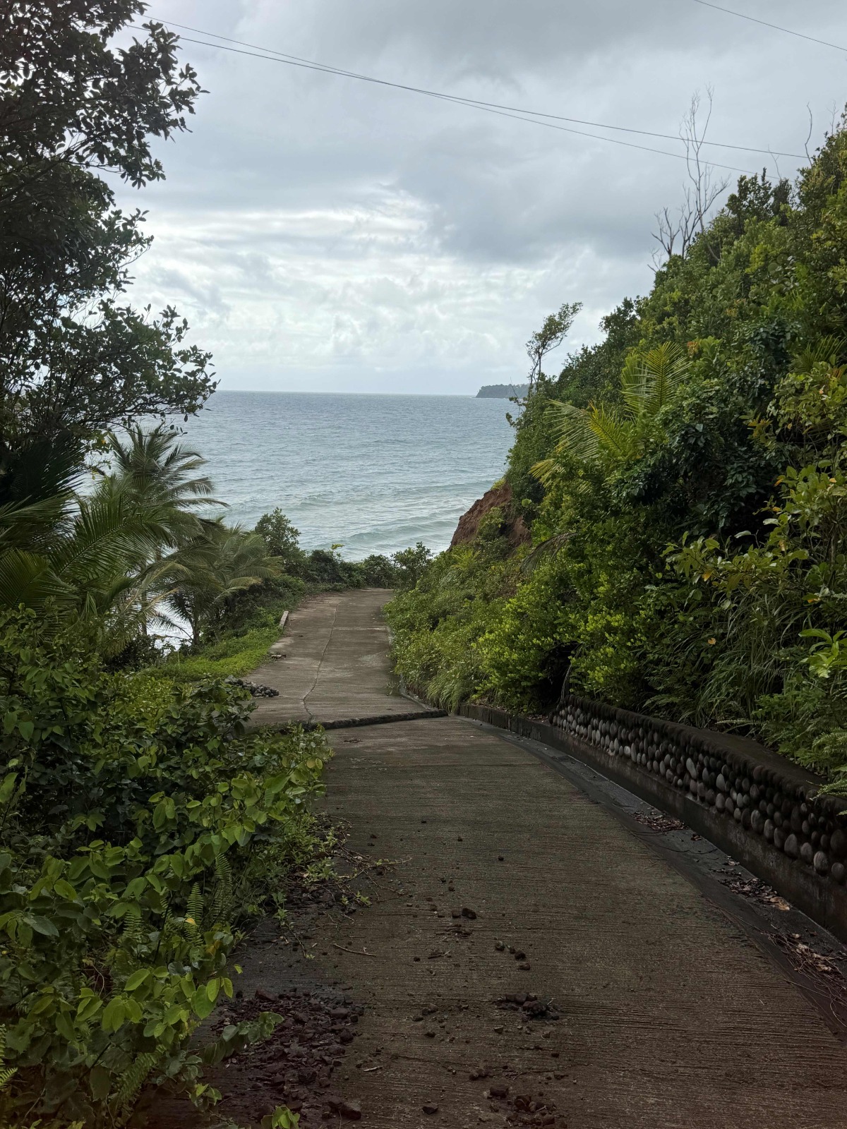 PETITE SOUFRIERE path