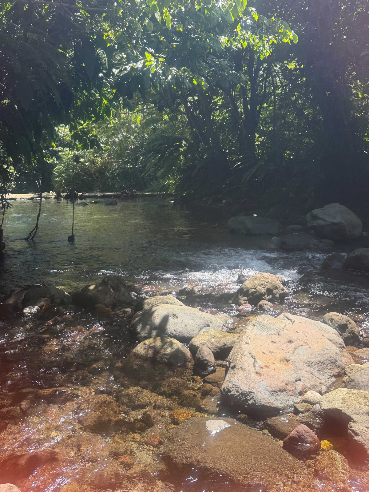 RIVER RAMBLE river