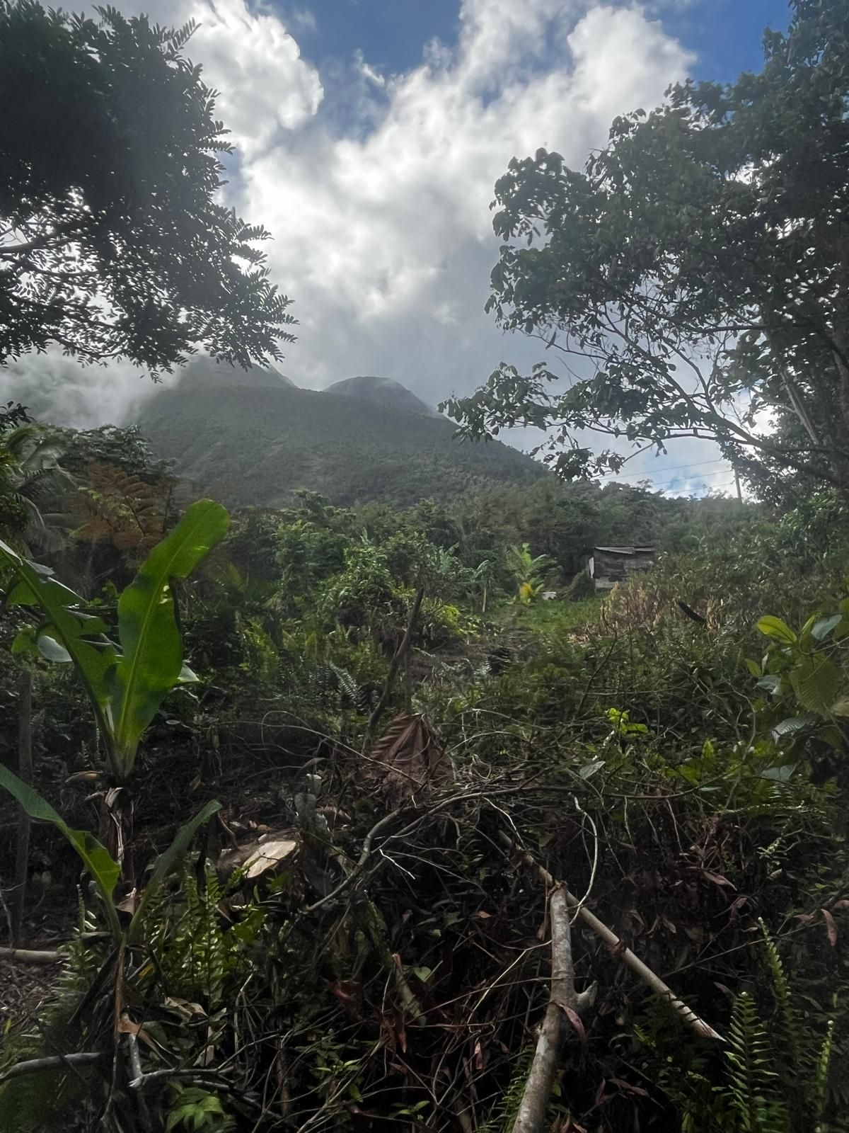 Waitukubuli trail view