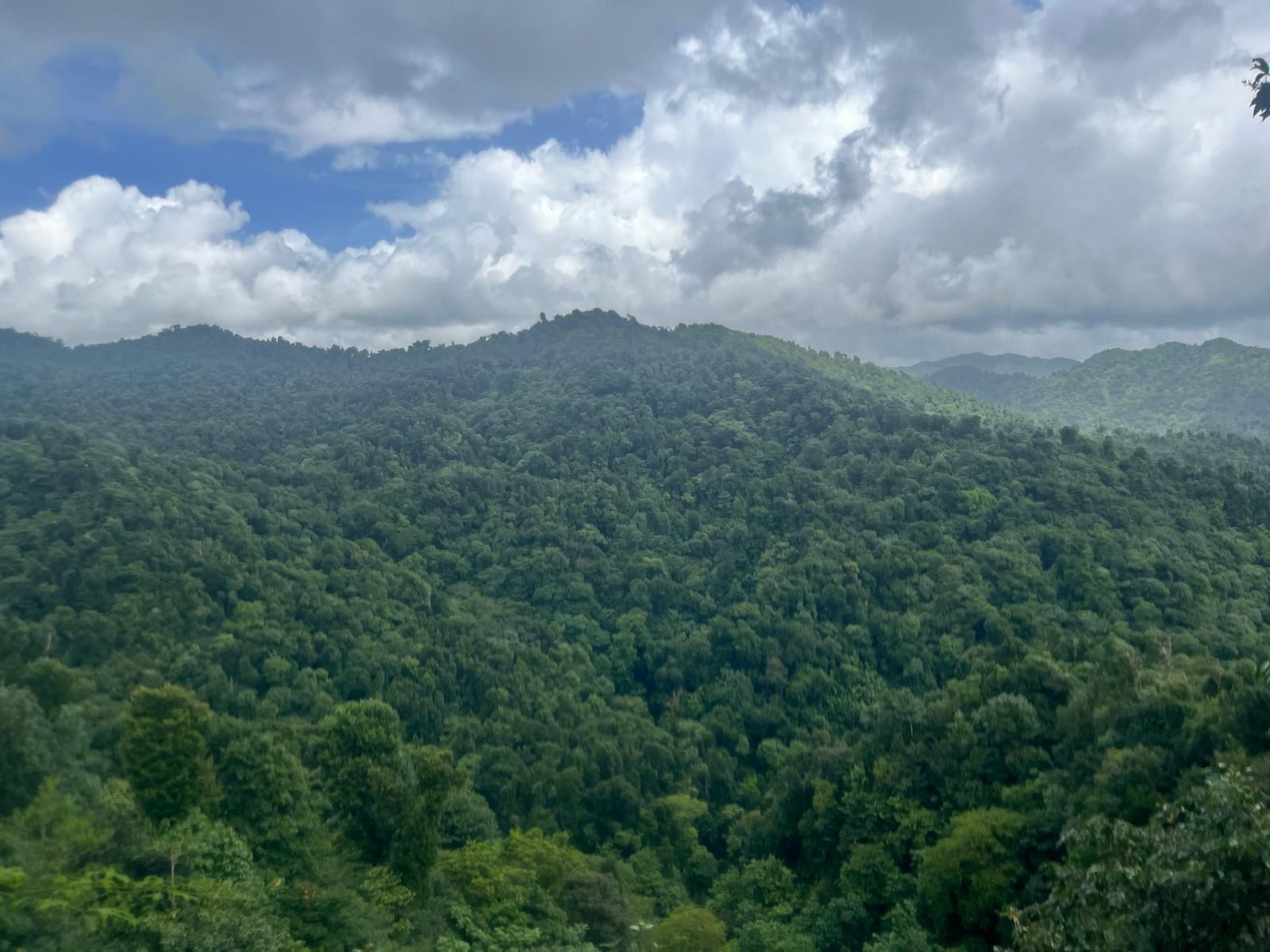 Waitukubuli trail viewpoint