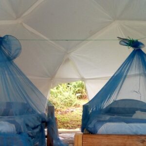 Tent rental